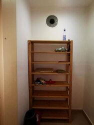 Mount Sophia Suites (D9), Apartment #437996061